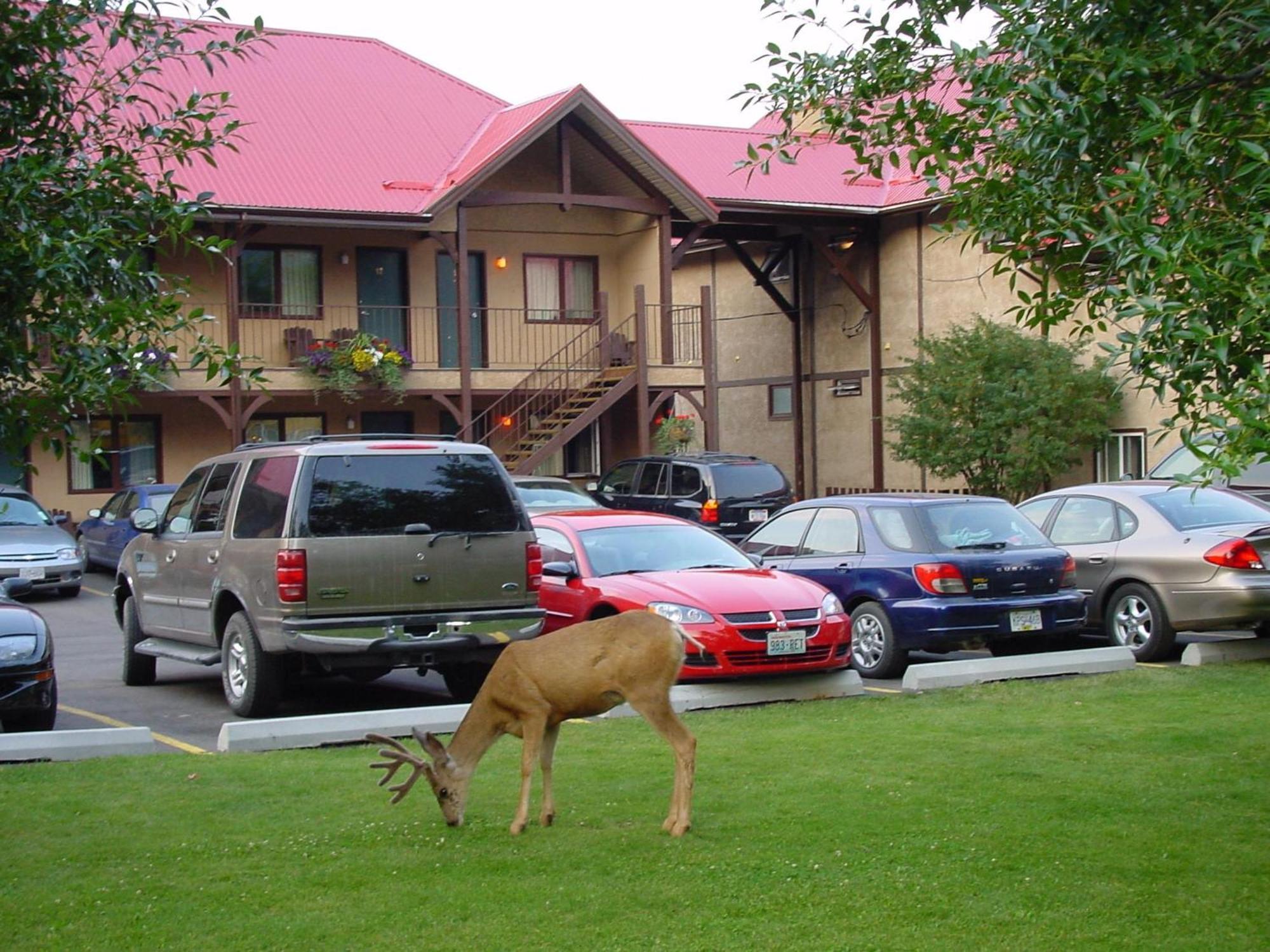 Aspen Village Waterton Park Luaran gambar